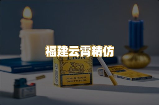 福建云霄精仿